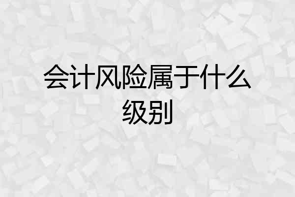 会计风险属于什么级别