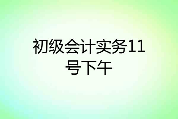 初级会计实务11号下午
