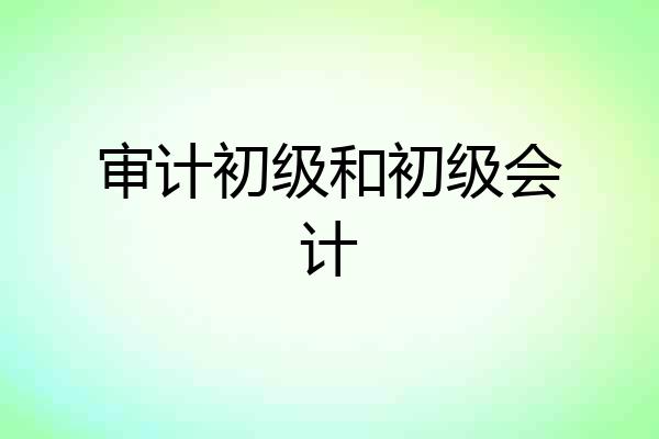 审计初级和初级会计