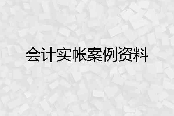 会计实帐案例资料