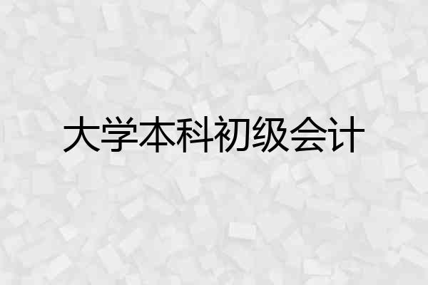 大学本科初级会计