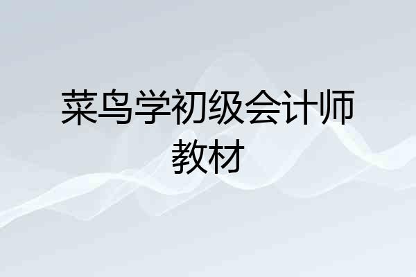 菜鸟学初级会计师教材