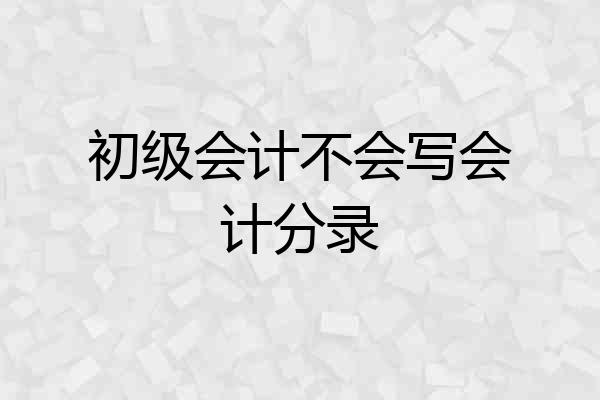 初级会计不会写会计分录