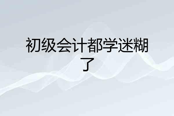 初级会计都学迷糊了