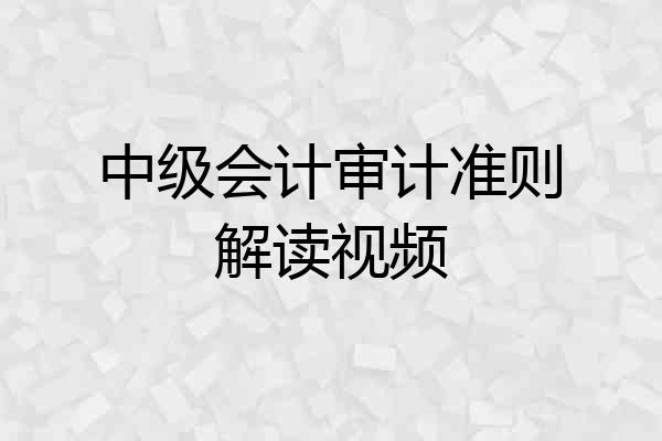 中级会计审计准则解读视频
