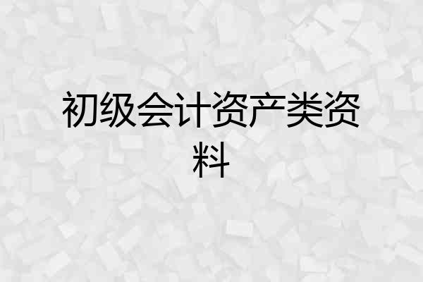 初级会计资产类资料