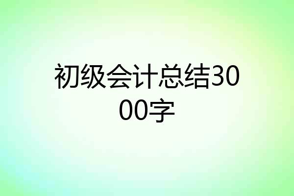 初级会计总结3000字