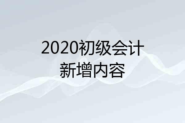 2020初级会计新增内容