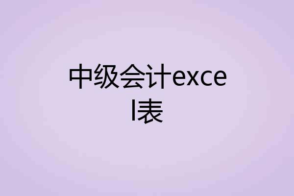 中级会计excel表