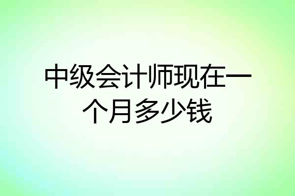 中级会计师现在一个月多少钱