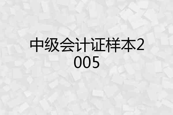 中级会计证样本2005