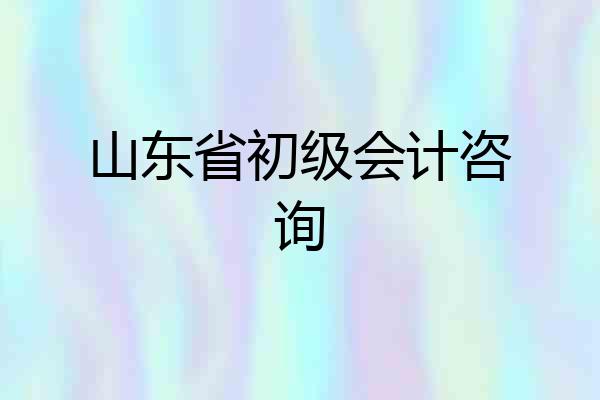山东省初级会计咨询