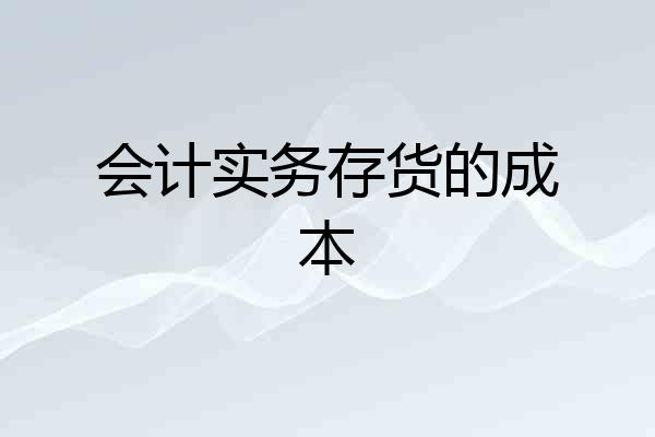 会计实务存货的成本