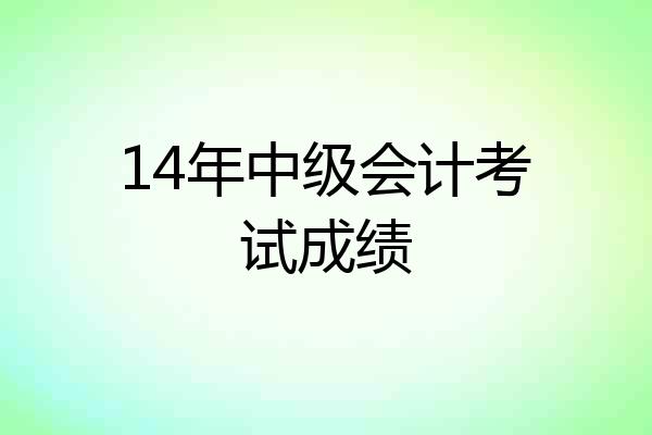 14年中级会计考试成绩