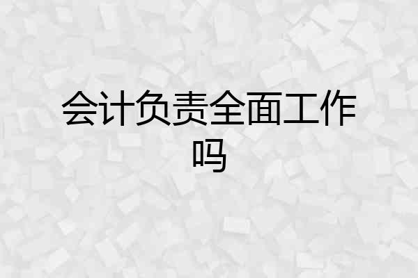 会计负责全面工作吗