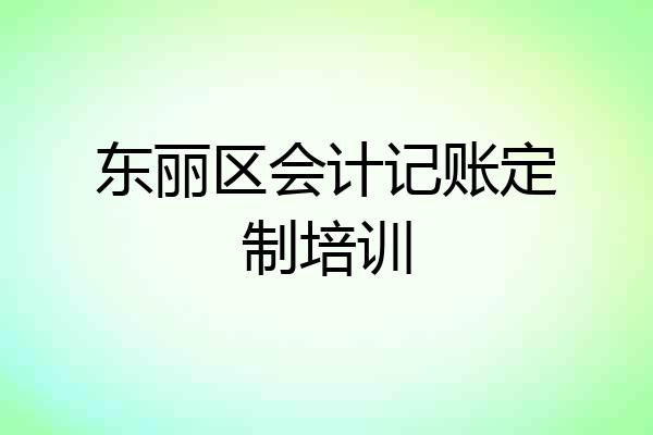东丽区会计记账定制培训
