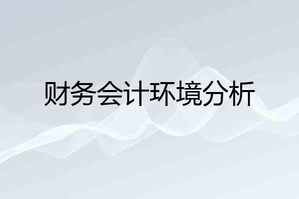 财务会计环境分析