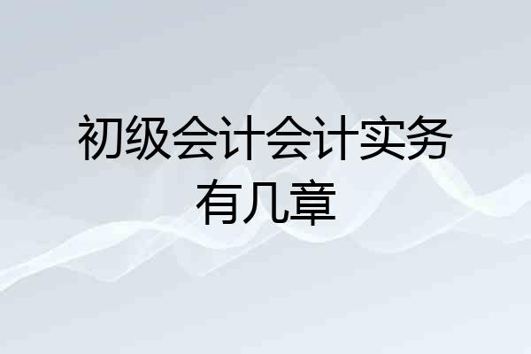 初级会计会计实务有几章
