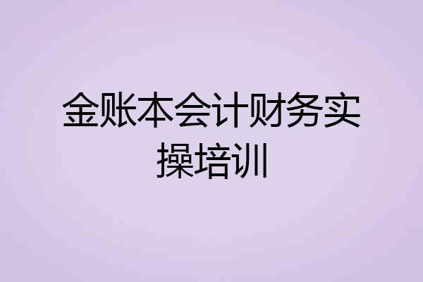金账本会计财务实操培训