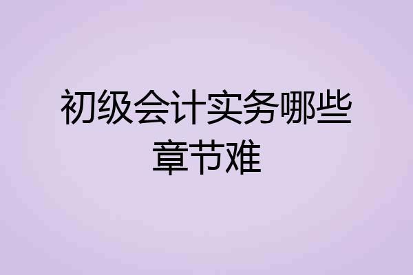 初级会计实务哪些章节难