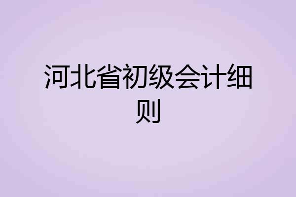 河北省初级会计细则