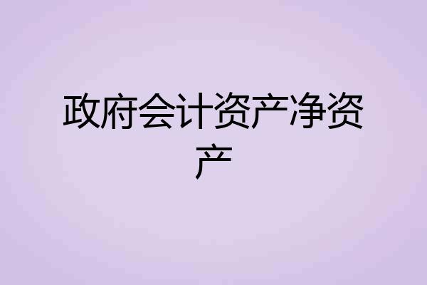 政府会计资产净资产