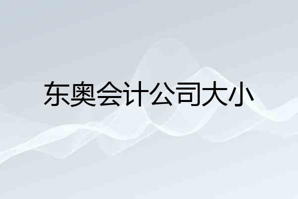 东奥会计公司大小