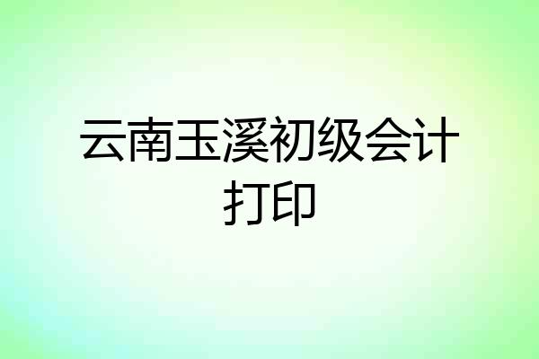 云南玉溪初级会计打印
