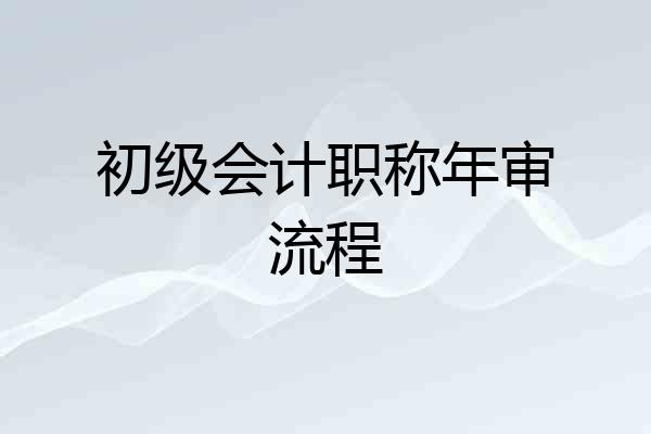 初级会计职称年审流程