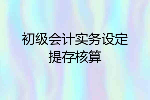 初级会计实务设定提存核算