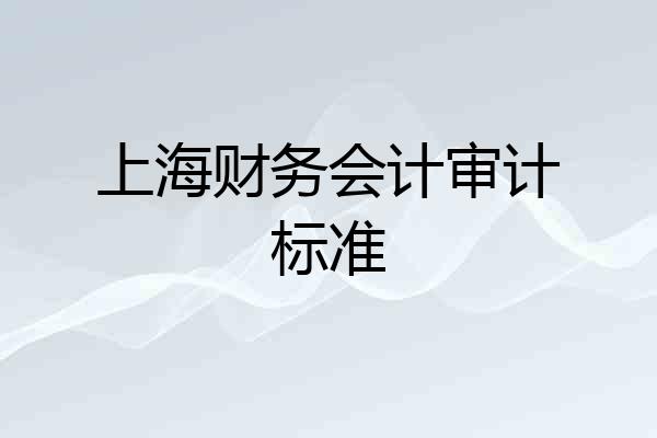 上海财务会计审计标准