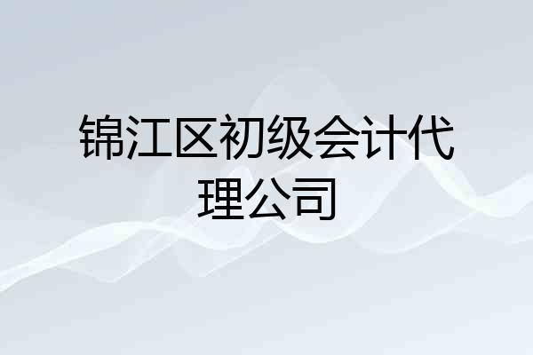 锦江区初级会计代理公司