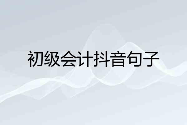 初级会计抖音句子