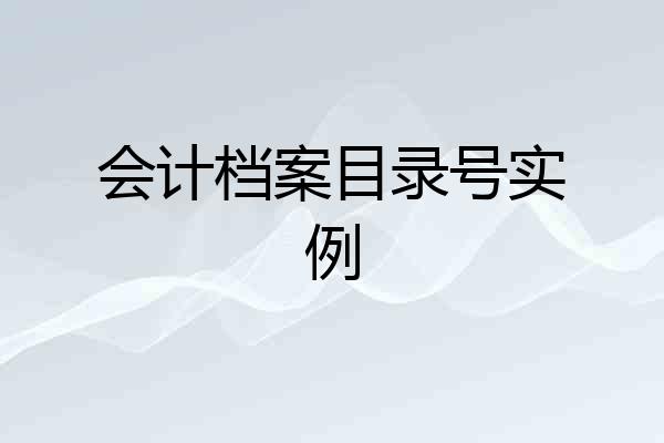 会计档案目录号实例