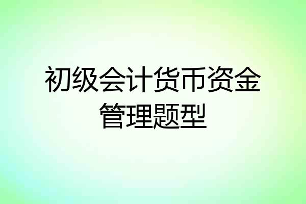 初级会计货币资金管理题型