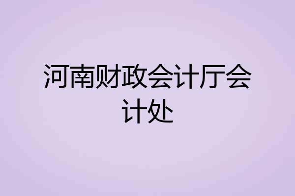 河南财政会计厅会计处