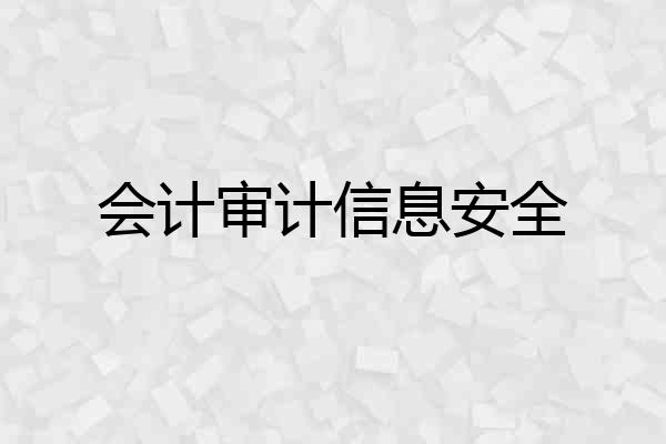 会计审计信息安全