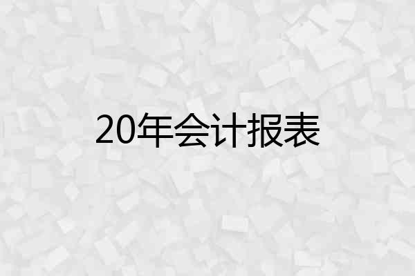 20年会计报表