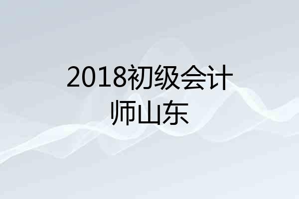2018初级会计师山东