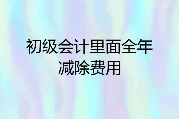 初级会计里面全年减除费用