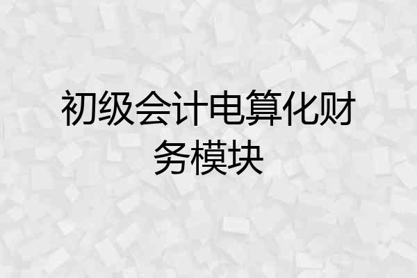 初级会计电算化财务模块