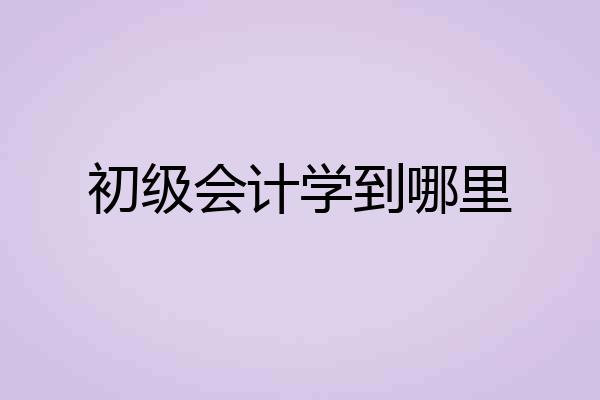 初级会计学到哪里