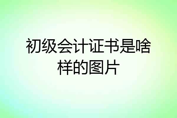 初级会计证书是啥样的图片