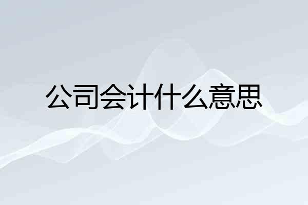 公司会计什么意思