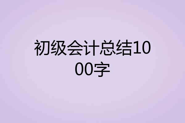 初级会计总结1000字