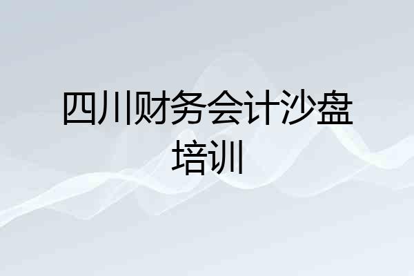 四川财务会计沙盘培训