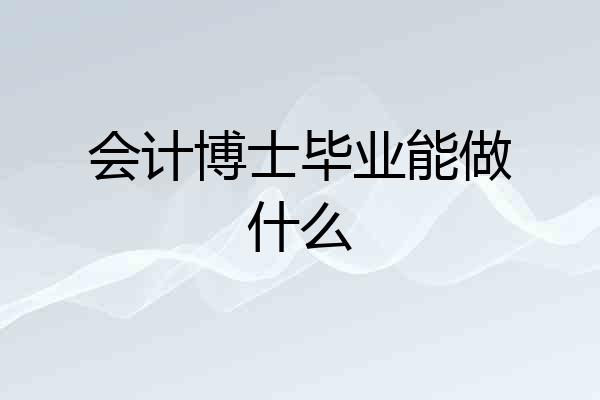 会计博士毕业能做什么