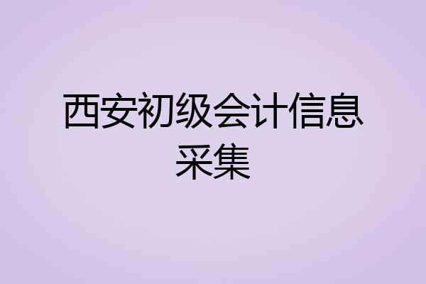 西安初级会计信息采集
