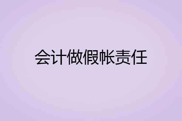 会计做假帐责任