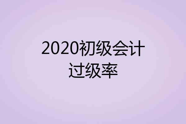 2020初级会计过级率